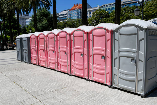 Best Portable Toilets with Baby Changing Stations  in Meadowlakes, TX